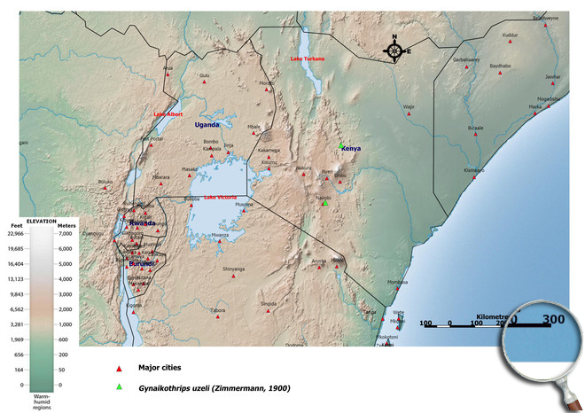 Distibution Map East Africa